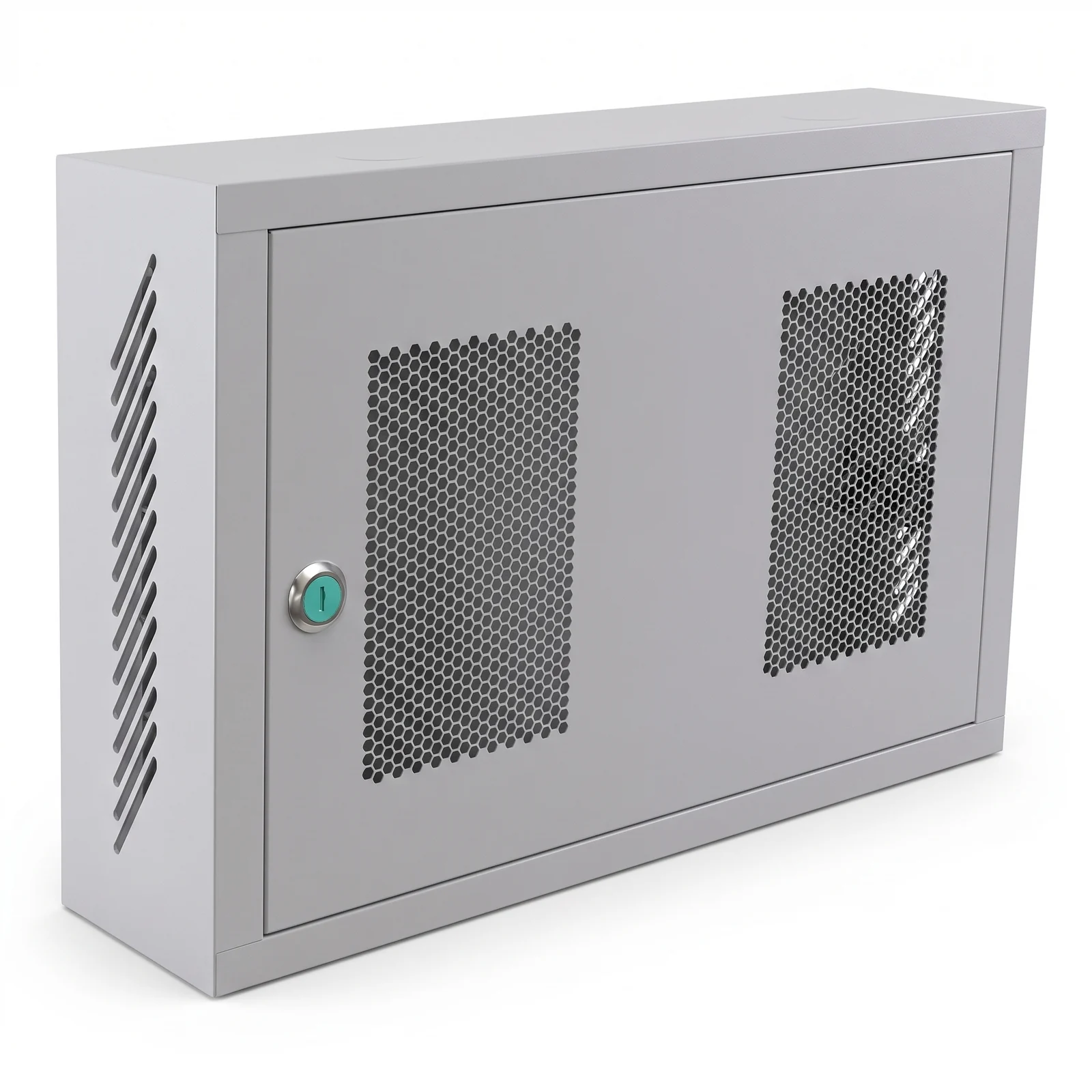 2U Dual Mesh Door Distribution Box product view